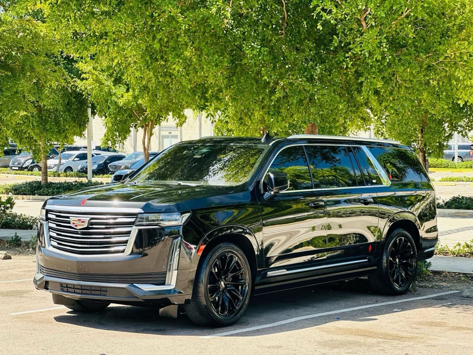 PUJ Airport to Bayahibe: Your Complete Guide to a Comfortable Private Transfer
